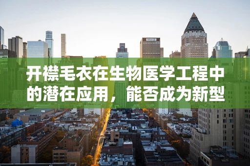 开襟毛衣在生物医学工程中的潜在应用，能否成为新型可穿戴医疗设备？