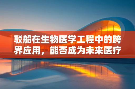 驳船在生物医学工程中的跨界应用，能否成为未来医疗物流的新蓝海？