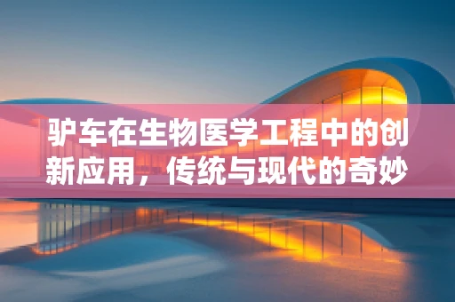 驴车在生物医学工程中的创新应用，传统与现代的奇妙融合？