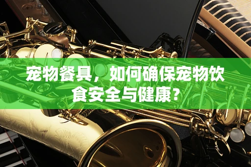 宠物餐具，如何确保宠物饮食安全与健康？