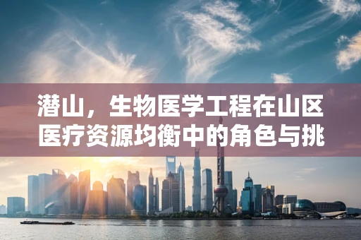 潜山，生物医学工程在山区医疗资源均衡中的角色与挑战？