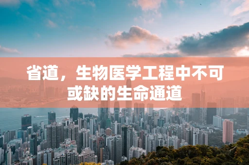 省道，生物医学工程中不可或缺的生命通道