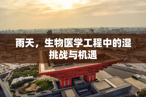 雨天，生物医学工程中的湿挑战与机遇