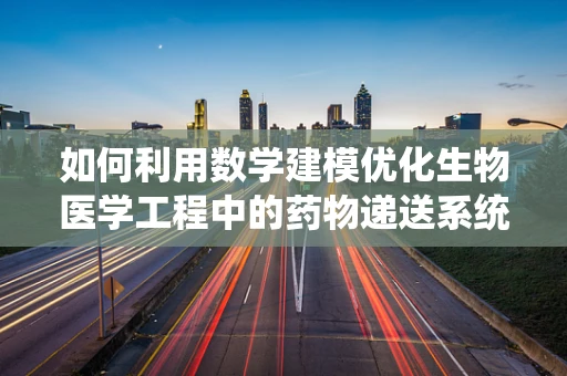 如何利用数学建模优化生物医学工程中的药物递送系统？