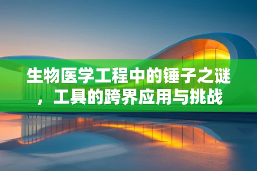 生物医学工程中的锤子之谜，工具的跨界应用与挑战