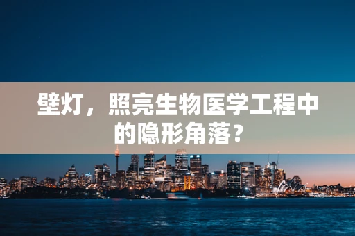 壁灯，照亮生物医学工程中的隐形角落？