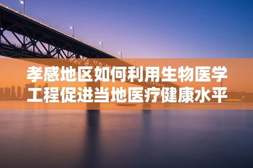 孝感地区如何利用生物医学工程促进当地医疗健康水平？
