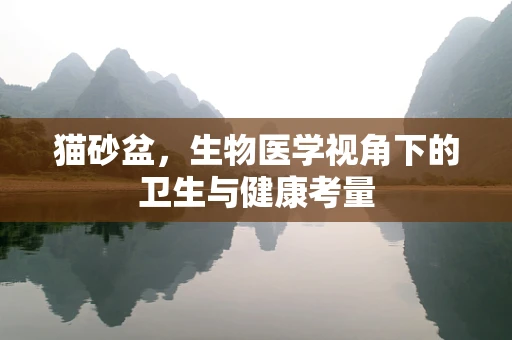 猫砂盆，生物医学视角下的卫生与健康考量