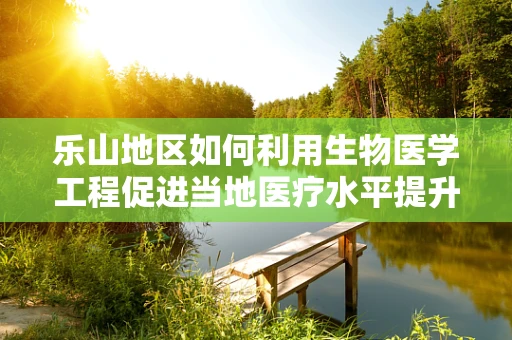 乐山地区如何利用生物医学工程促进当地医疗水平提升？