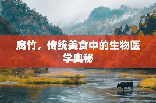 腐竹，传统美食中的生物医学奥秘