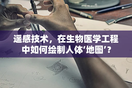 遥感技术，在生物医学工程中如何绘制人体‘地图’？