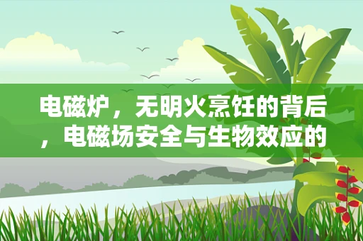 电磁炉，无明火烹饪的背后，电磁场安全与生物效应的微妙平衡