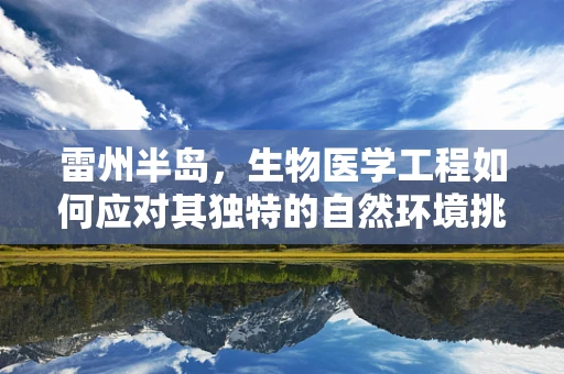 雷州半岛，生物医学工程如何应对其独特的自然环境挑战？