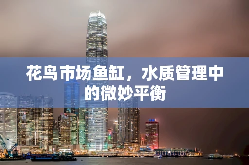 花鸟市场鱼缸，水质管理中的微妙平衡