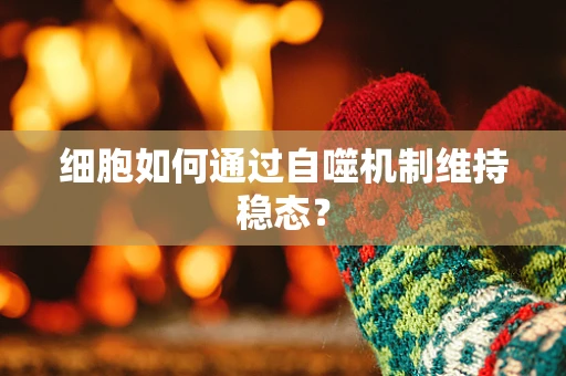 细胞如何通过自噬机制维持稳态？