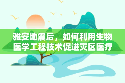 雅安地震后，如何利用生物医学工程技术促进灾区医疗救援的快速响应？