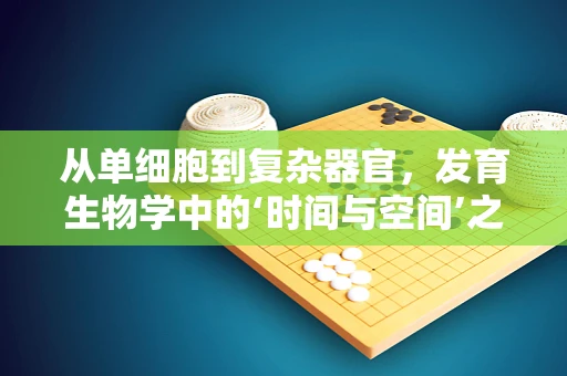 从单细胞到复杂器官，发育生物学中的‘时间与空间’之谜
