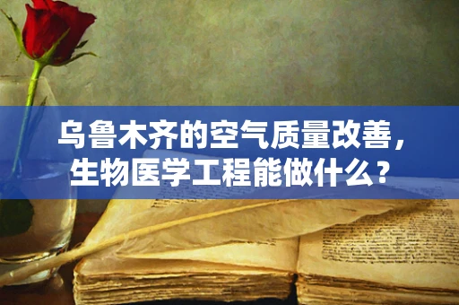 乌鲁木齐的空气质量改善，生物医学工程能做什么？