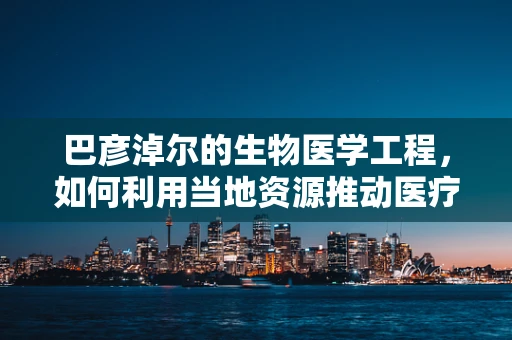 巴彦淖尔的生物医学工程，如何利用当地资源推动医疗创新？