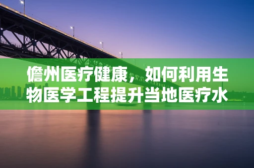 儋州医疗健康，如何利用生物医学工程提升当地医疗水平？