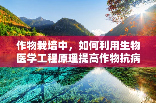 作物栽培中，如何利用生物医学工程原理提高作物抗病性？