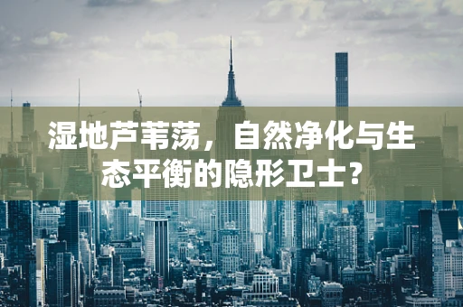 湿地芦苇荡，自然净化与生态平衡的隐形卫士？