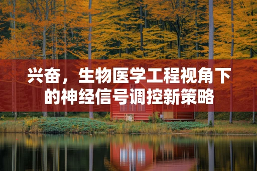 兴奋，生物医学工程视角下的神经信号调控新策略