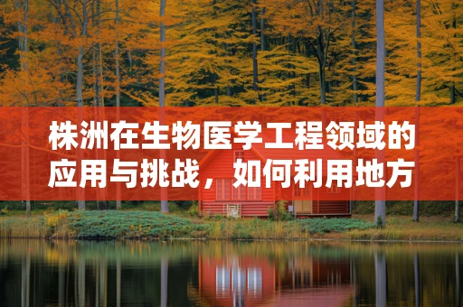 株洲在生物医学工程领域的应用与挑战，如何利用地方资源推动创新？