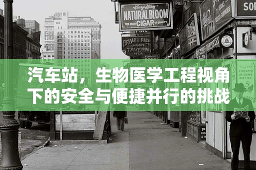 汽车站，生物医学工程视角下的安全与便捷并行的挑战？