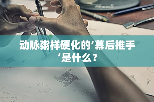 动脉粥样硬化的‘幕后推手’是什么？