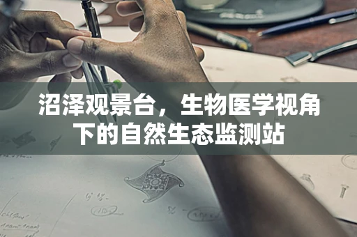 沼泽观景台，生物医学视角下的自然生态监测站