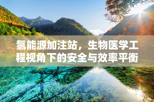 氢能源加注站，生物医学工程视角下的安全与效率平衡