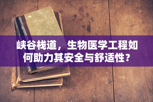 峡谷栈道，生物医学工程如何助力其安全与舒适性？
