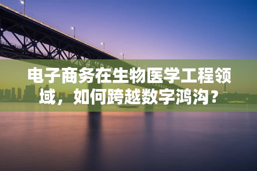 电子商务在生物医学工程领域，如何跨越数字鸿沟？