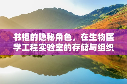 书柜的隐秘角色，在生物医学工程实验室的存储与组织中扮演的微妙作用