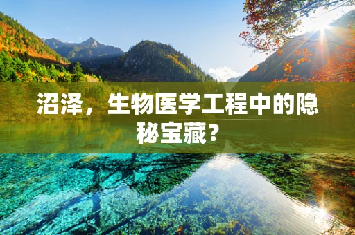 沼泽，生物医学工程中的隐秘宝藏？