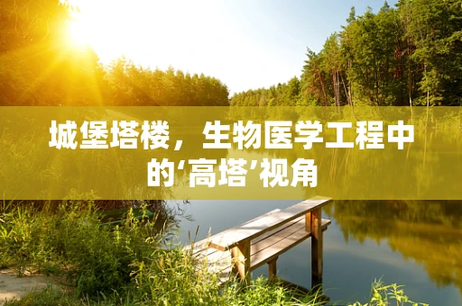 城堡塔楼，生物医学工程中的‘高塔’视角