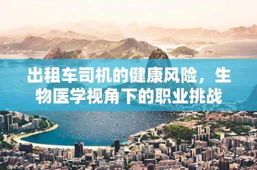 出租车司机的健康风险，生物医学视角下的职业挑战