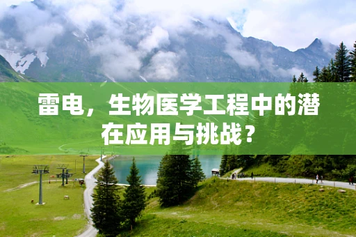 雷电，生物医学工程中的潜在应用与挑战？