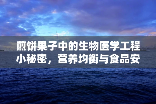 煎饼果子中的生物医学工程小秘密，营养均衡与食品安全考量