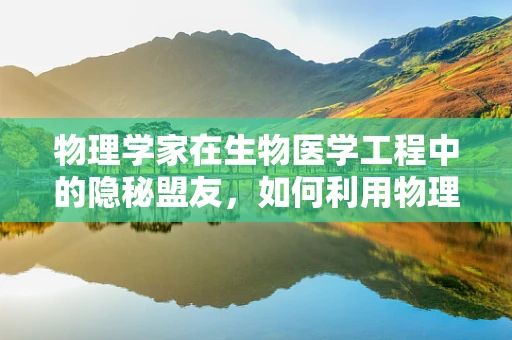 物理学家在生物医学工程中的隐秘盟友，如何利用物理原理推动医疗创新？