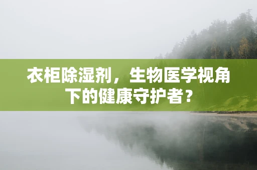 衣柜除湿剂，生物医学视角下的健康守护者？