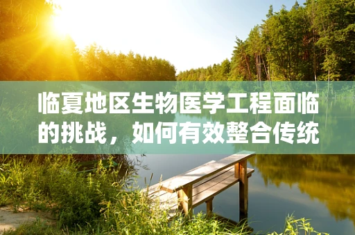 临夏地区生物医学工程面临的挑战，如何有效整合传统医学与现代技术？