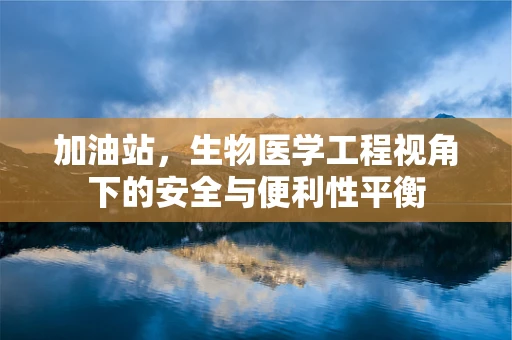 加油站，生物医学工程视角下的安全与便利性平衡