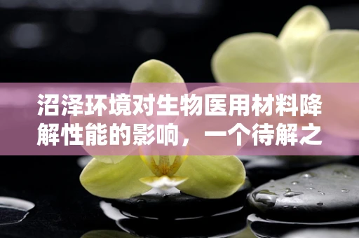 沼泽环境对生物医用材料降解性能的影响，一个待解之谜？