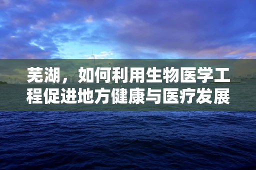 芜湖，如何利用生物医学工程促进地方健康与医疗发展？
