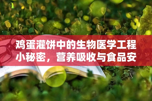 鸡蛋灌饼中的生物医学工程小秘密，营养吸收与食品安全的新视角