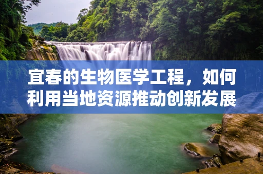 宜春的生物医学工程，如何利用当地资源推动创新发展？