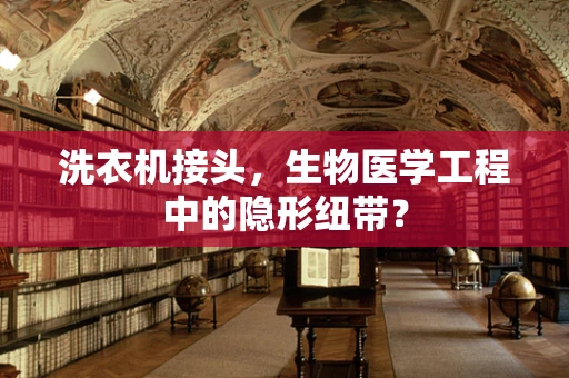 洗衣机接头，生物医学工程中的隐形纽带？