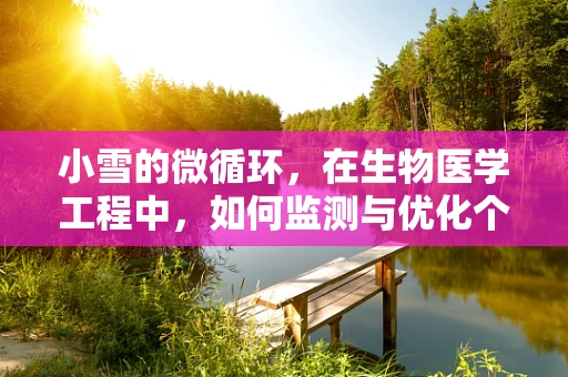 小雪的微循环，在生物医学工程中，如何监测与优化个体化健康？